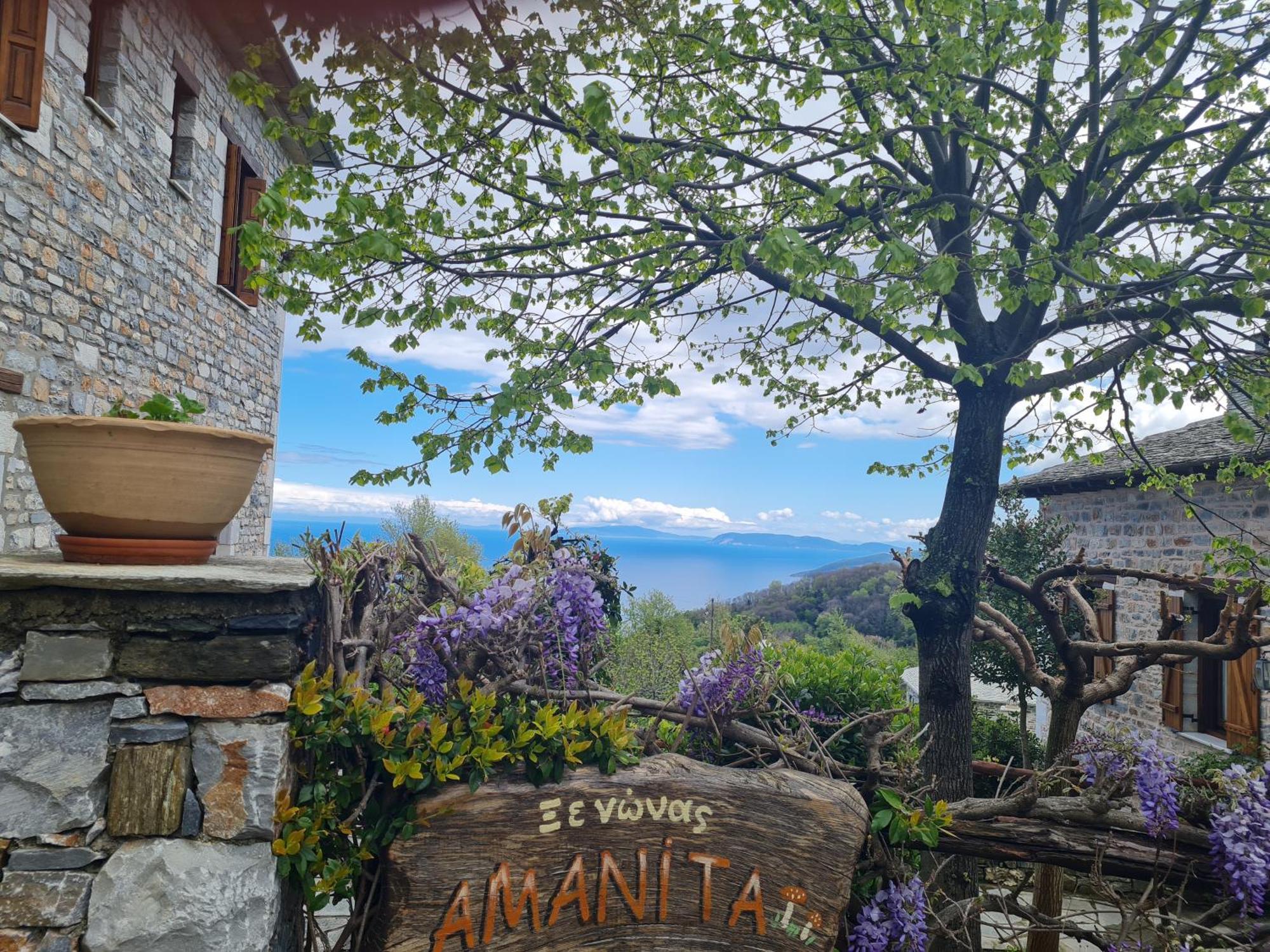 Amanita Boutique Hotel Tsagarada Exteriér fotografie